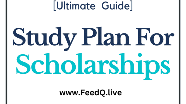 Study Plan for Scholarship Application to Win a Scholarship in 2024.